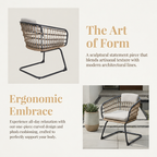 Wicker Dining Chair Set of 2