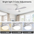 52-Inch Ceiling Fan With Remote Control