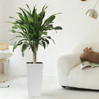 Pack of 2 Square Planter - 22-Inch High Faux Rattan Design