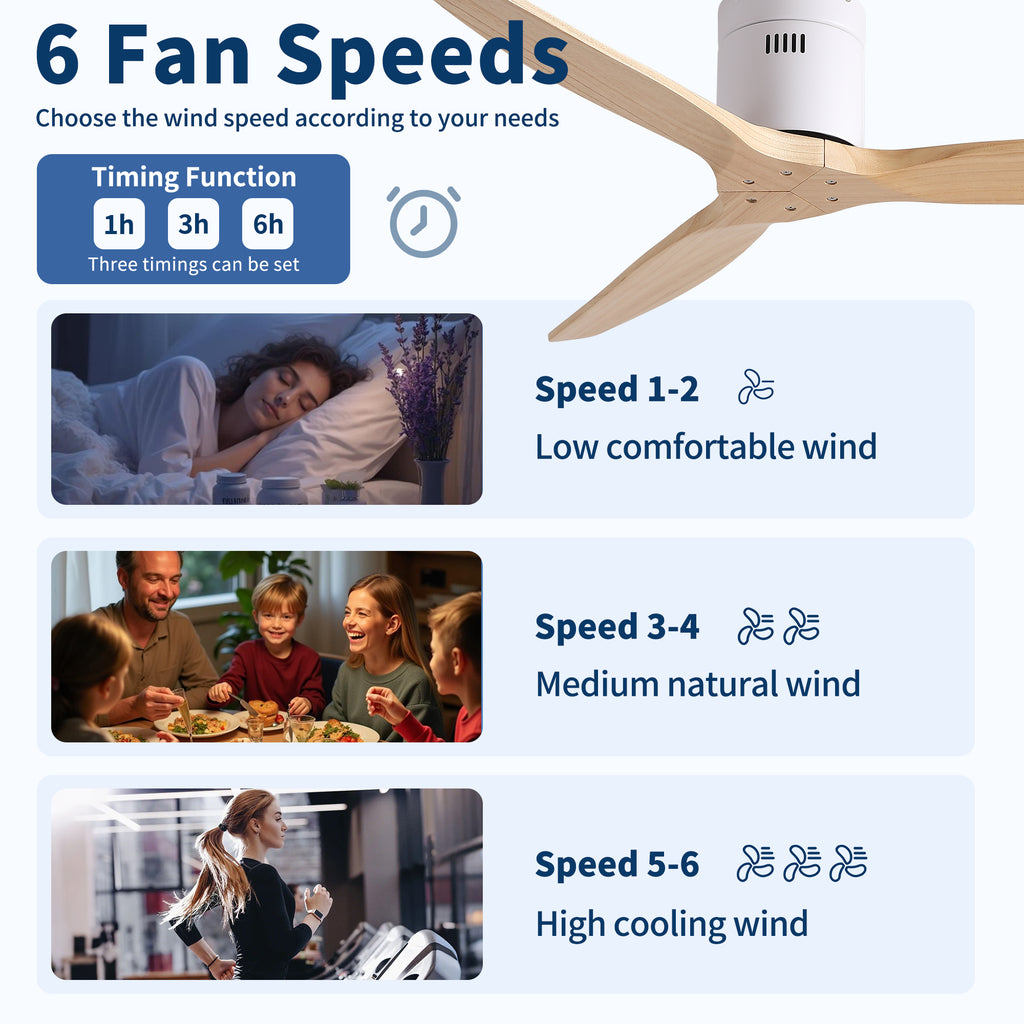 52 Inch American Modern Cozy Vibrant Fan