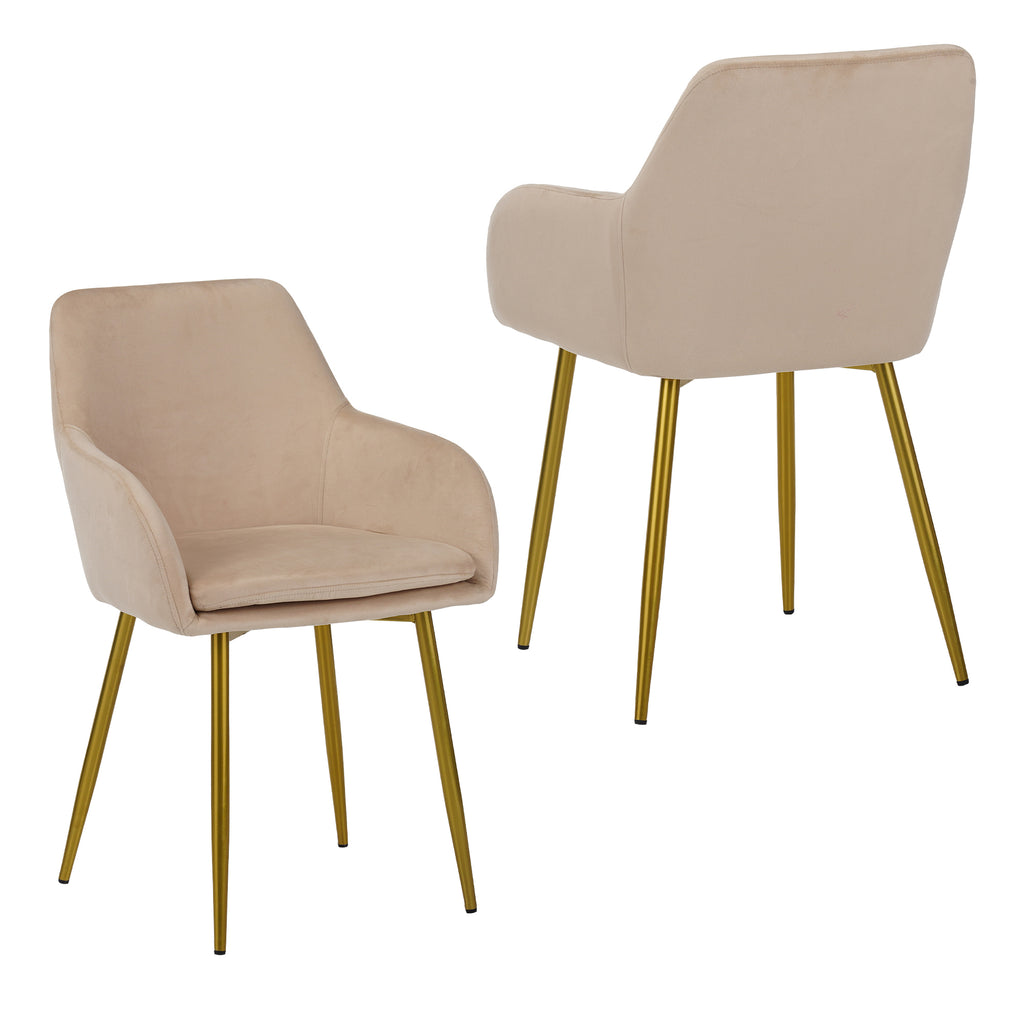 Velvet Dining Chair Set - 2 Pieces