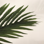 6FT Artificial Palm Tree