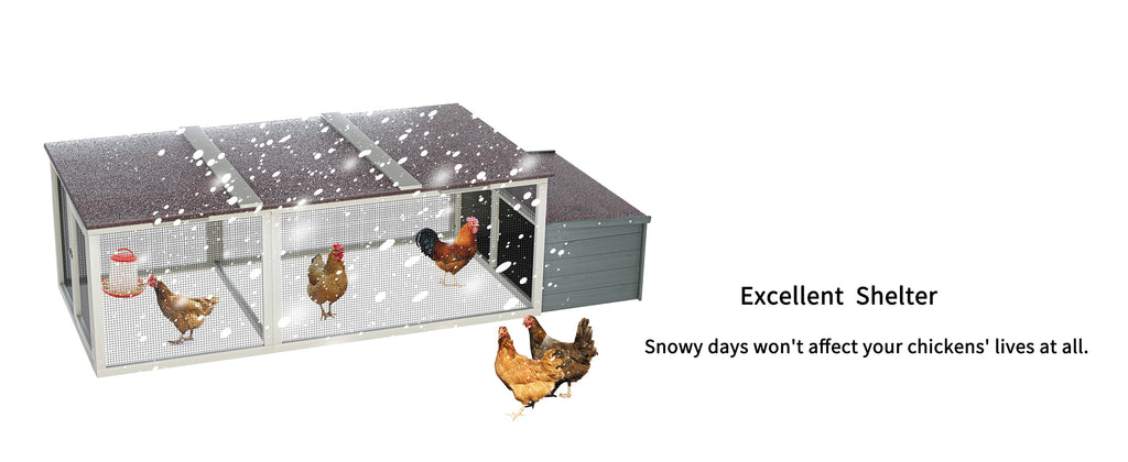 Large Chicken Coop with Run