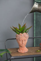 D7x11" Visage Head Bust Planter