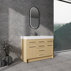 48" Freestanding Bathroom Vanity with Resin Sink, 2 Soft Closing Door & 6 Soft Closing Drawer