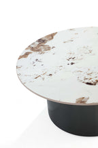 Alondra Modern Coffee Table