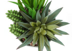 Artificial Succulent Plant Set of 2