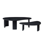 2-Piece Modern Irregular Shape Coffee Table Set