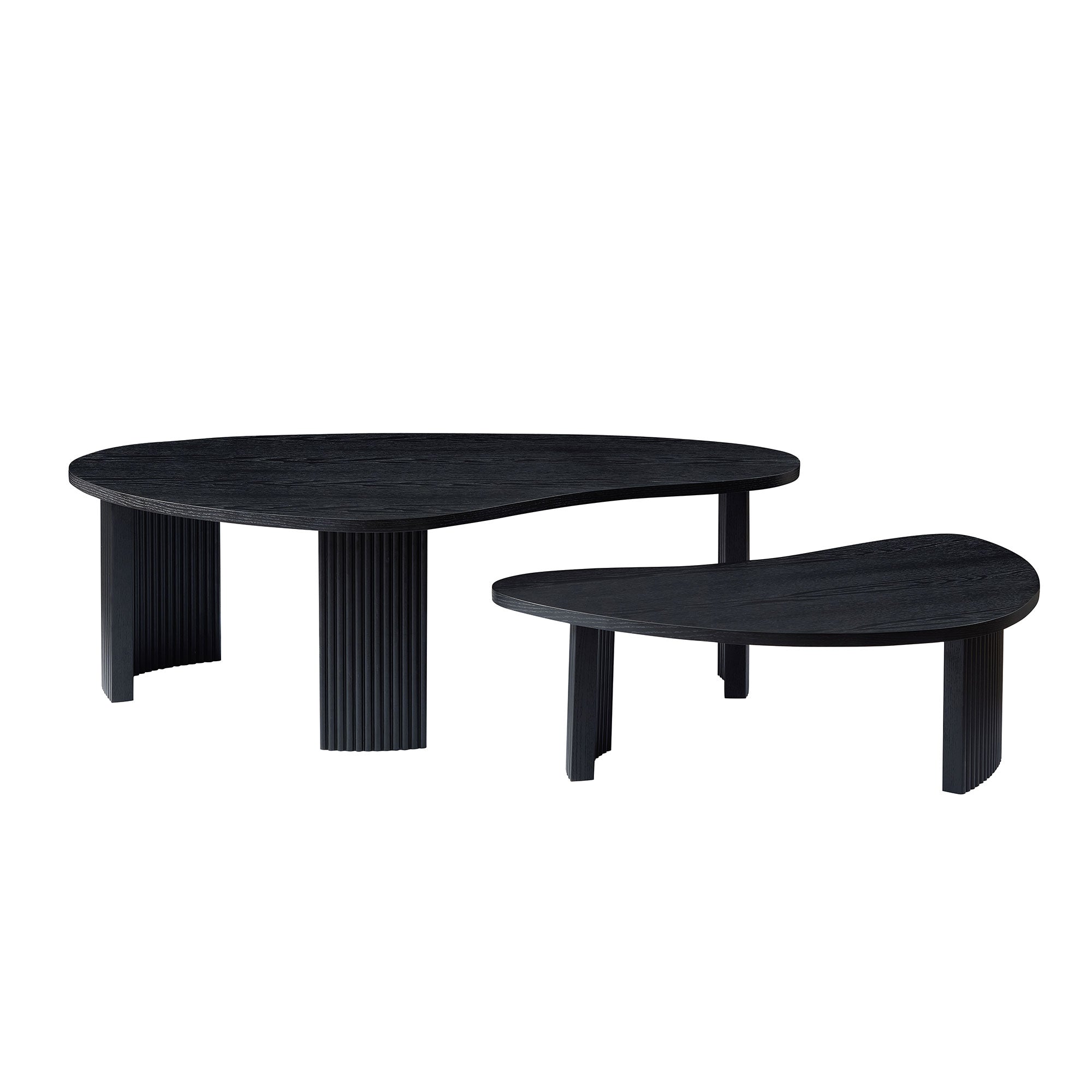 2-Piece Modern Irregular Shape Coffee Table Set