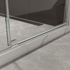 Brushed Nickel Pivot Shower Door