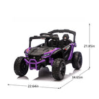 24V Kids Ride On UTV
