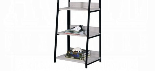 Wendral Rectangular Leaning-Ladder Bookshelf