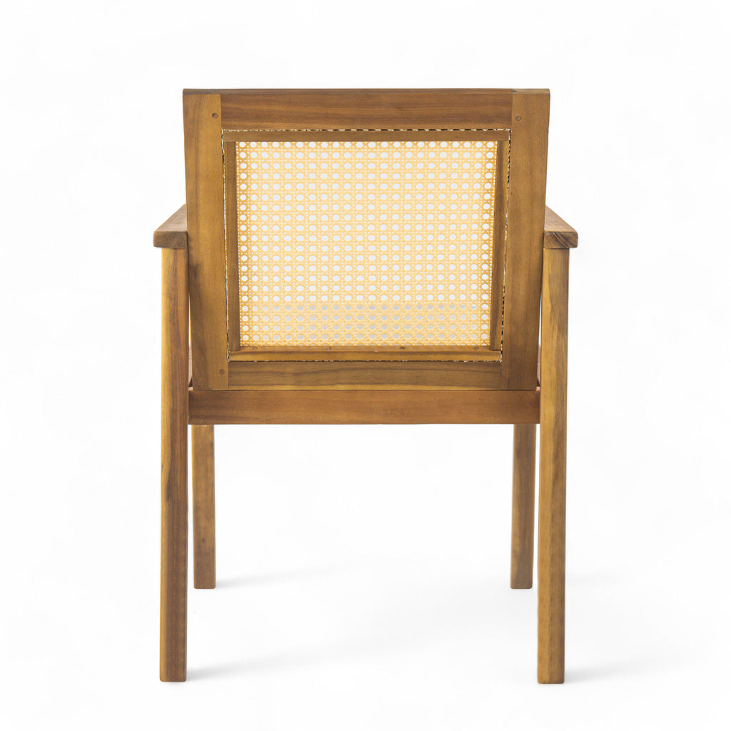 Preston Outdoor Dining Chair with Cushion (Set of 2)