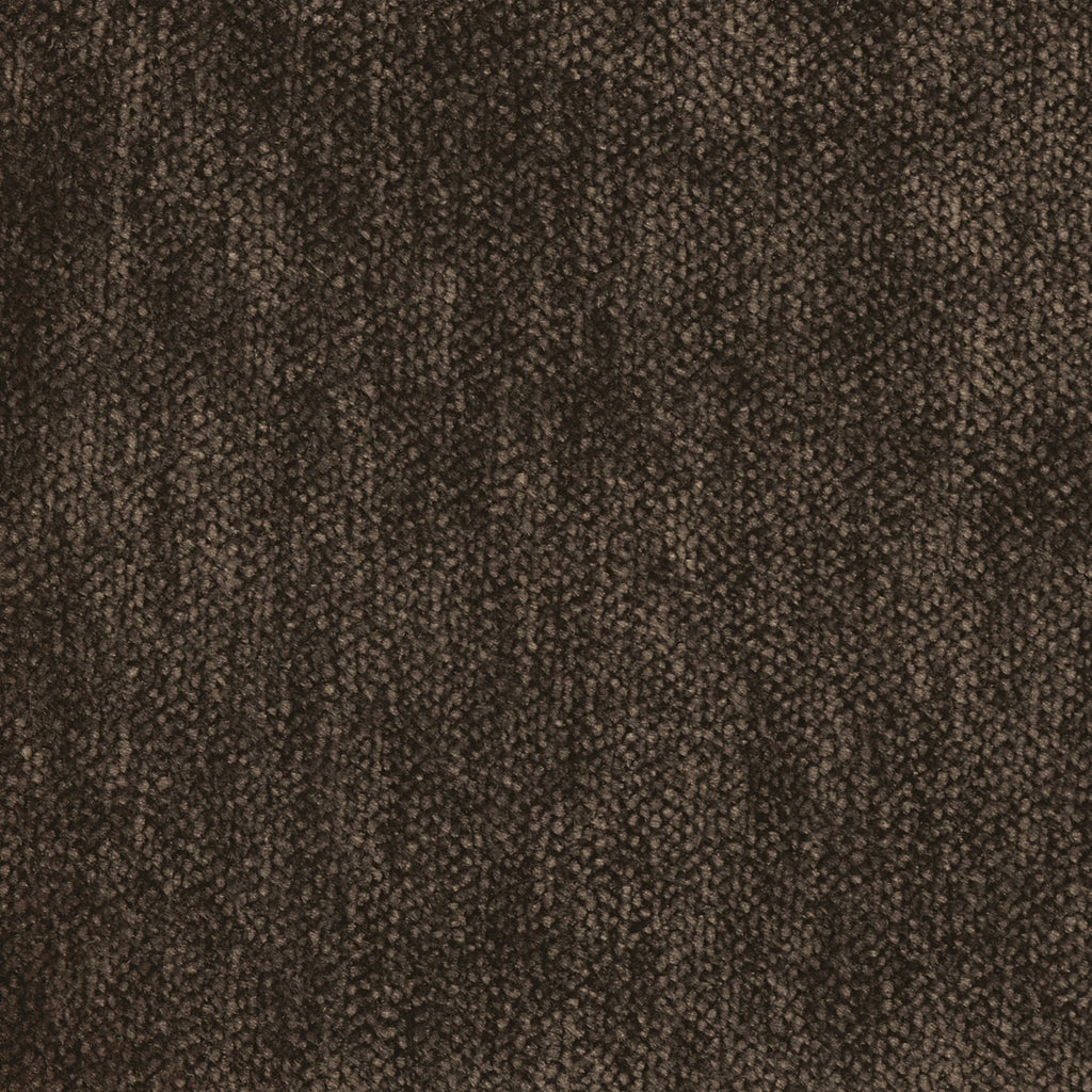 Whats New Pussycat Accent Chair