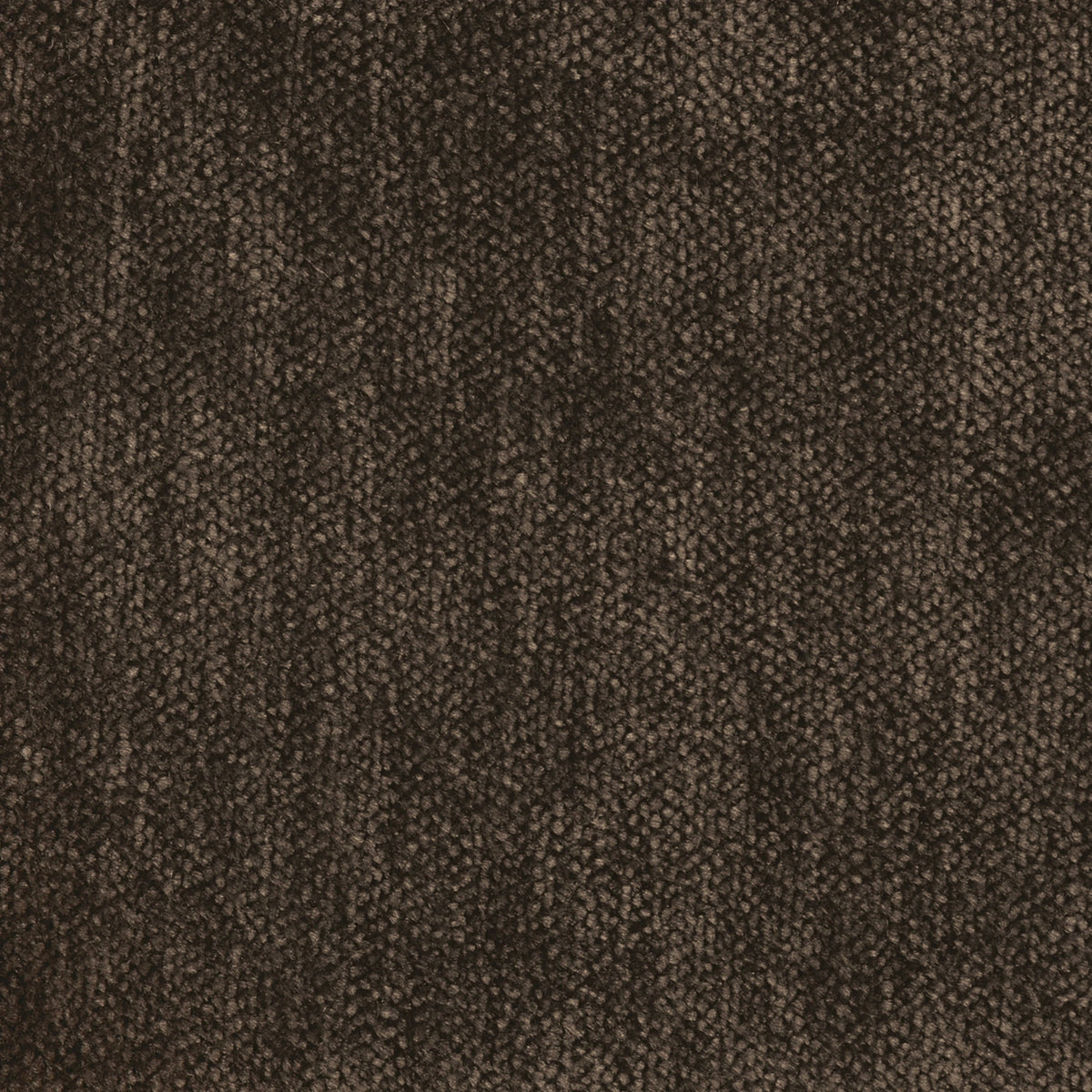 Whats New Pussycat Accent Chair