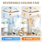 Indoor 52 Inch Ceiling Fan With Dimmable LED Light