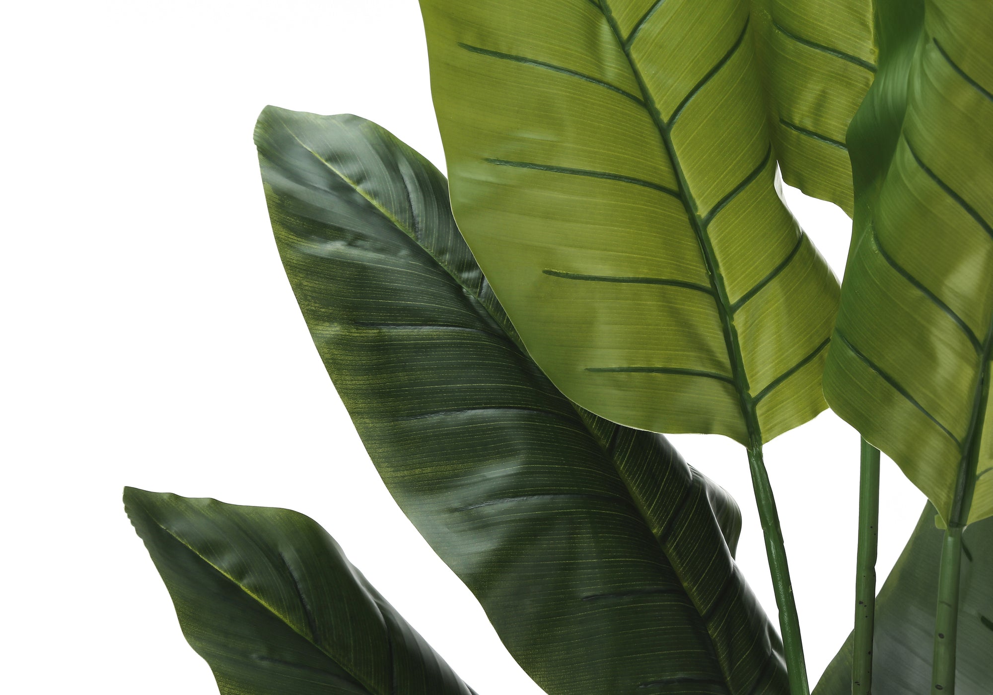 59" Tall Indoor Strelitzia Tree - Artificial Plant