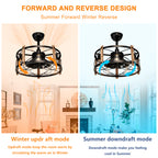 20'' Cage Ceiling Fan With Remote Control