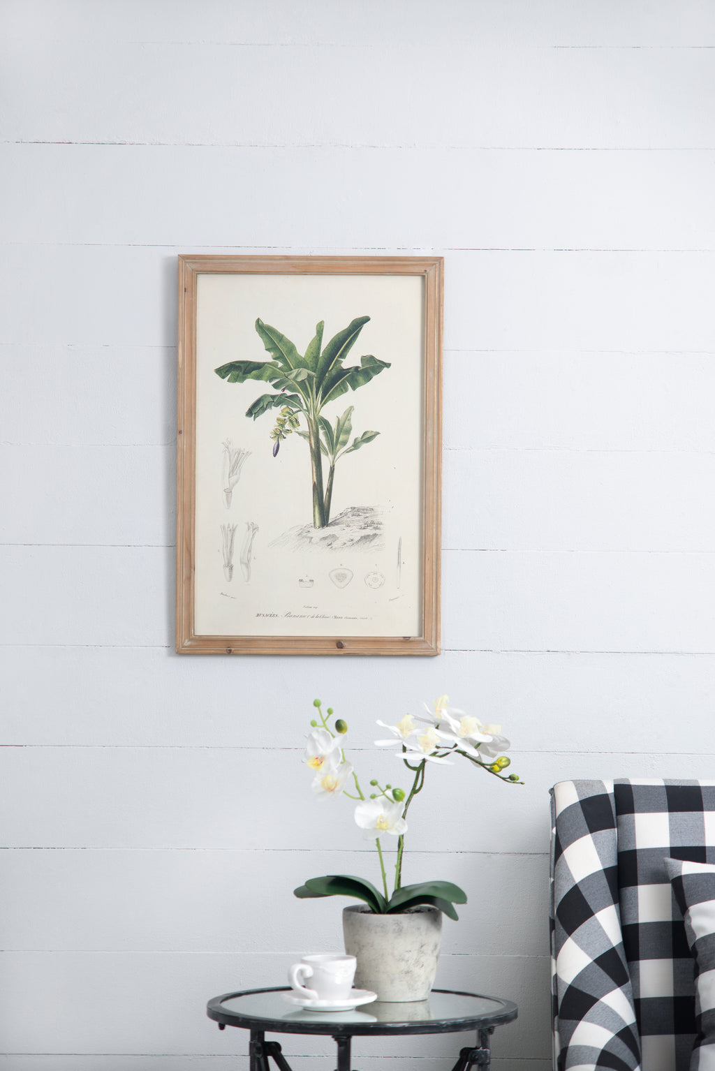 Set of 2 Tree Framed Prints