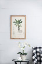 Set of 2 Tree Framed Prints
