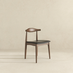 Destiny Modern Dining Chairs (Set of 2)