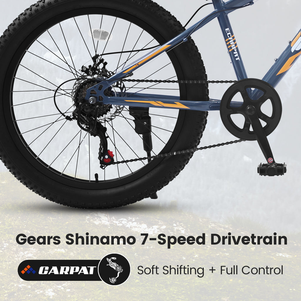 Elecony 24 Inch Fat Tire Bike - Adult/Youth