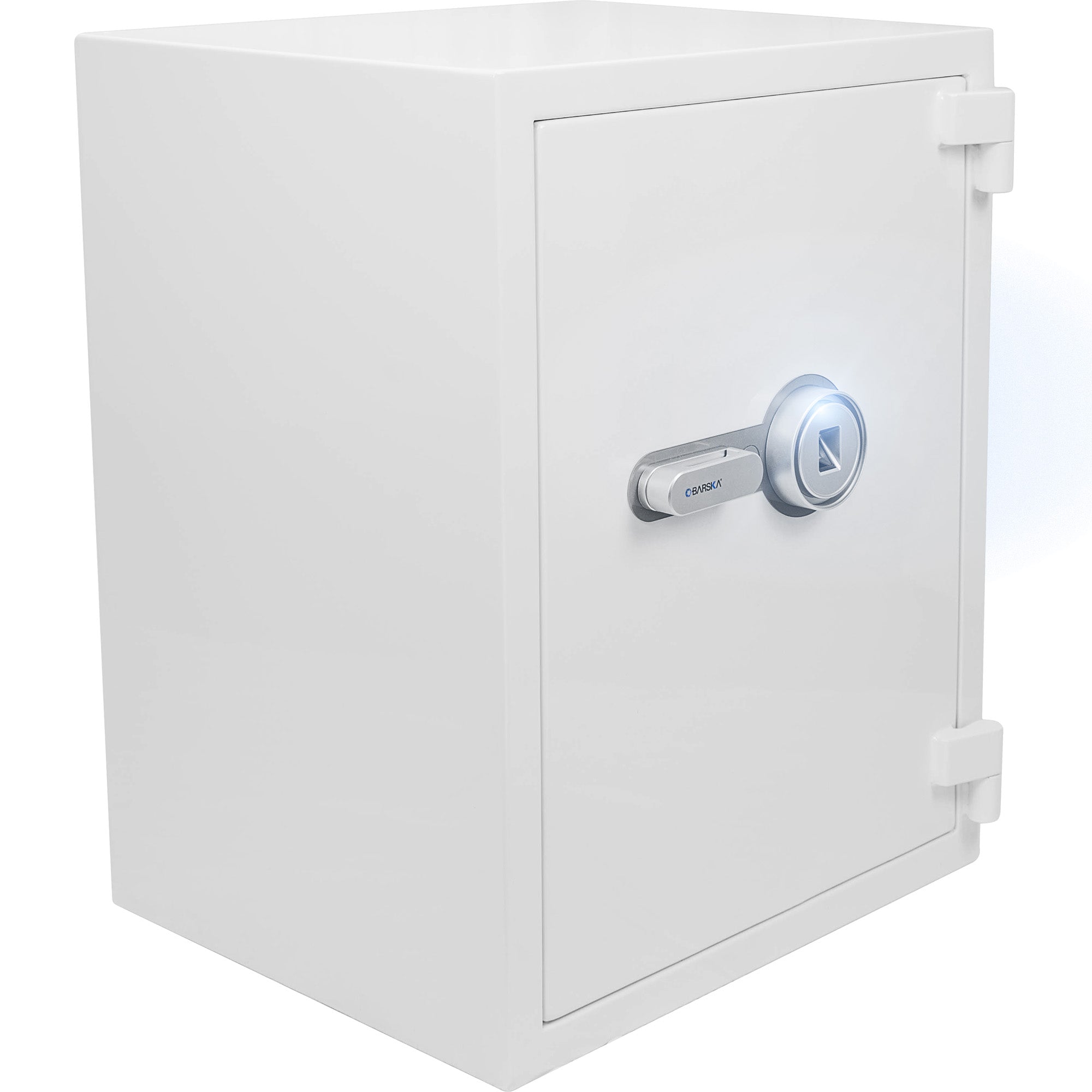 4.48 Cubic Ft Biometric Fireproof Safe