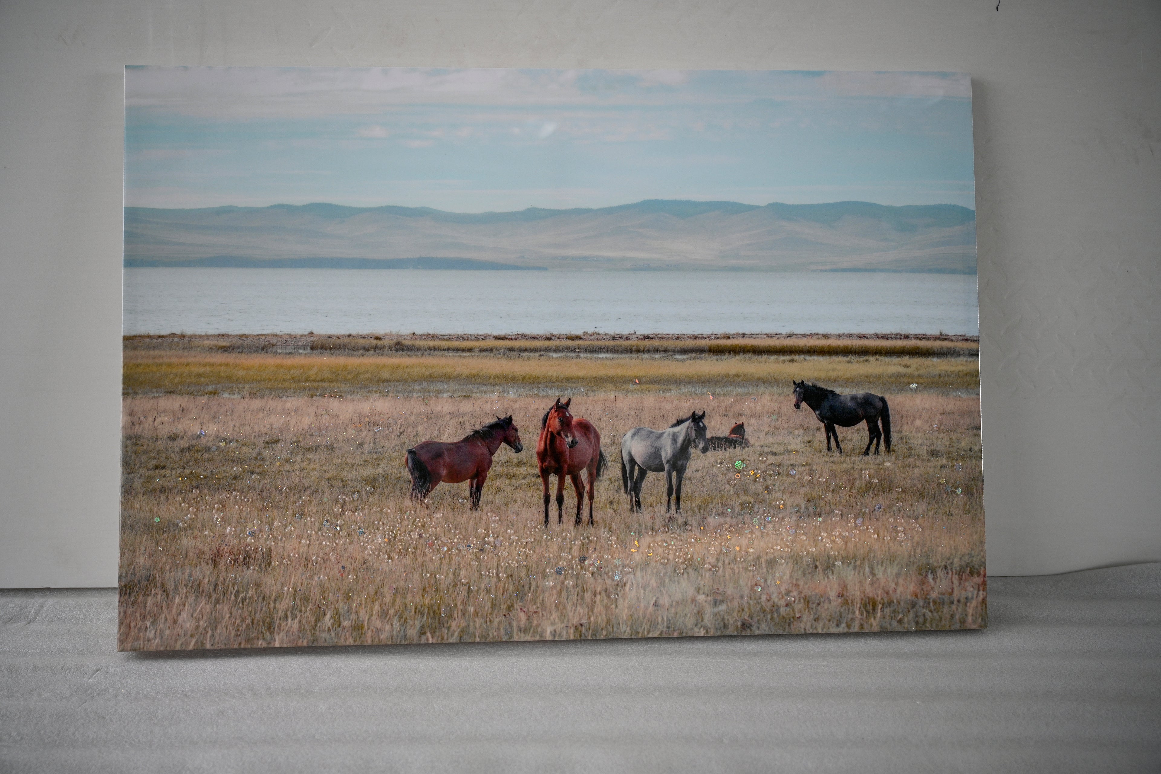 Horse Framed Wall Art Decor: Country Western Farmhouse