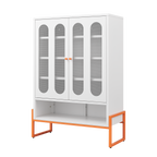 Modern Minimalist Double Door Shoe Cabinet