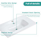 Glossy White Ceramic Integrated Sink