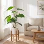 Artificial Tropical Alocasia Leaf Plant
