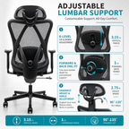 Ergonomic Office Chair
