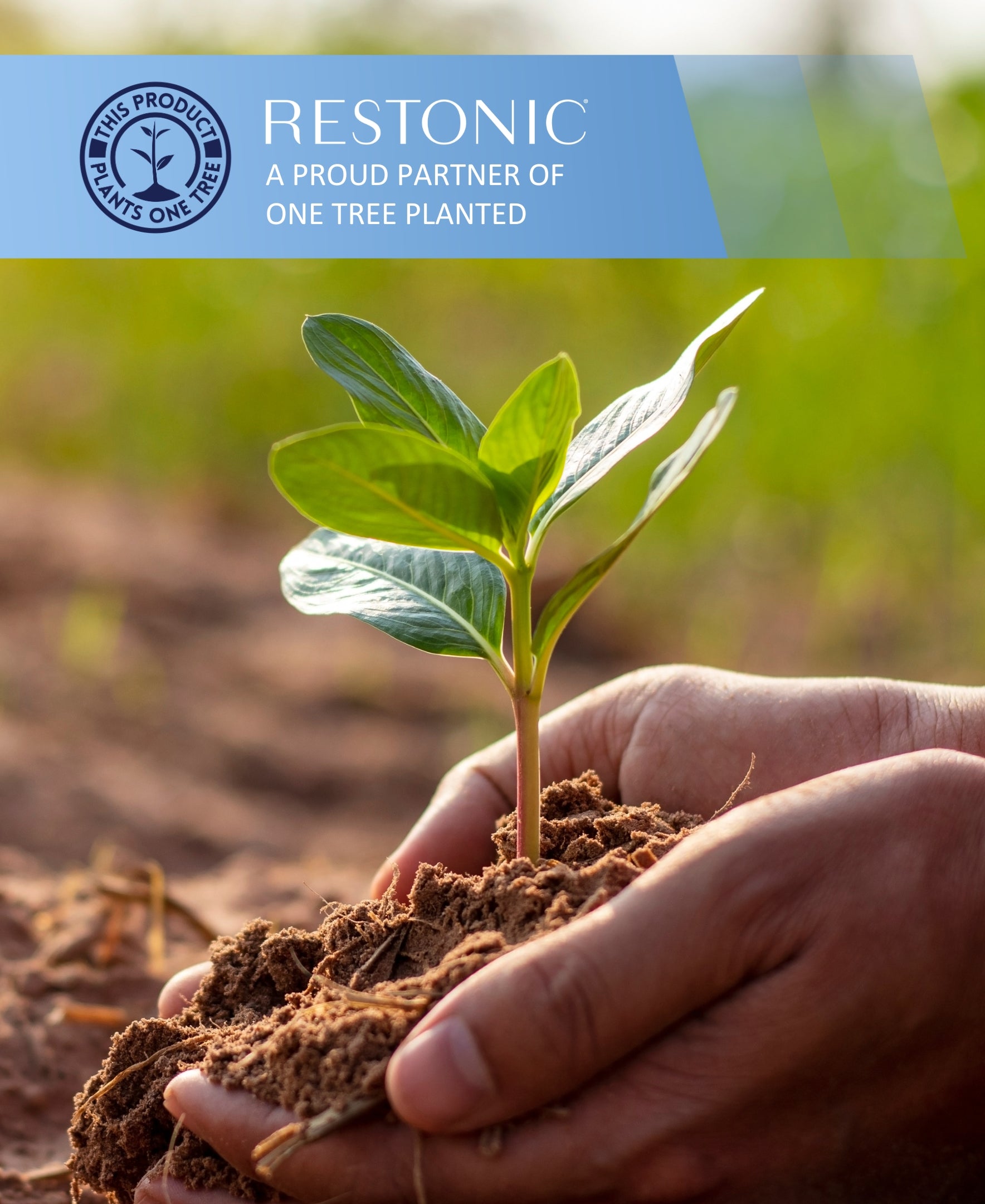 Restonic ComfortCare Hybrid Restful Nights Plush, Twin Extra Long
