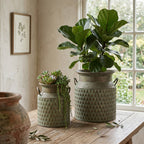 S/2 Iron Milk Jug Planters with Textured Finish