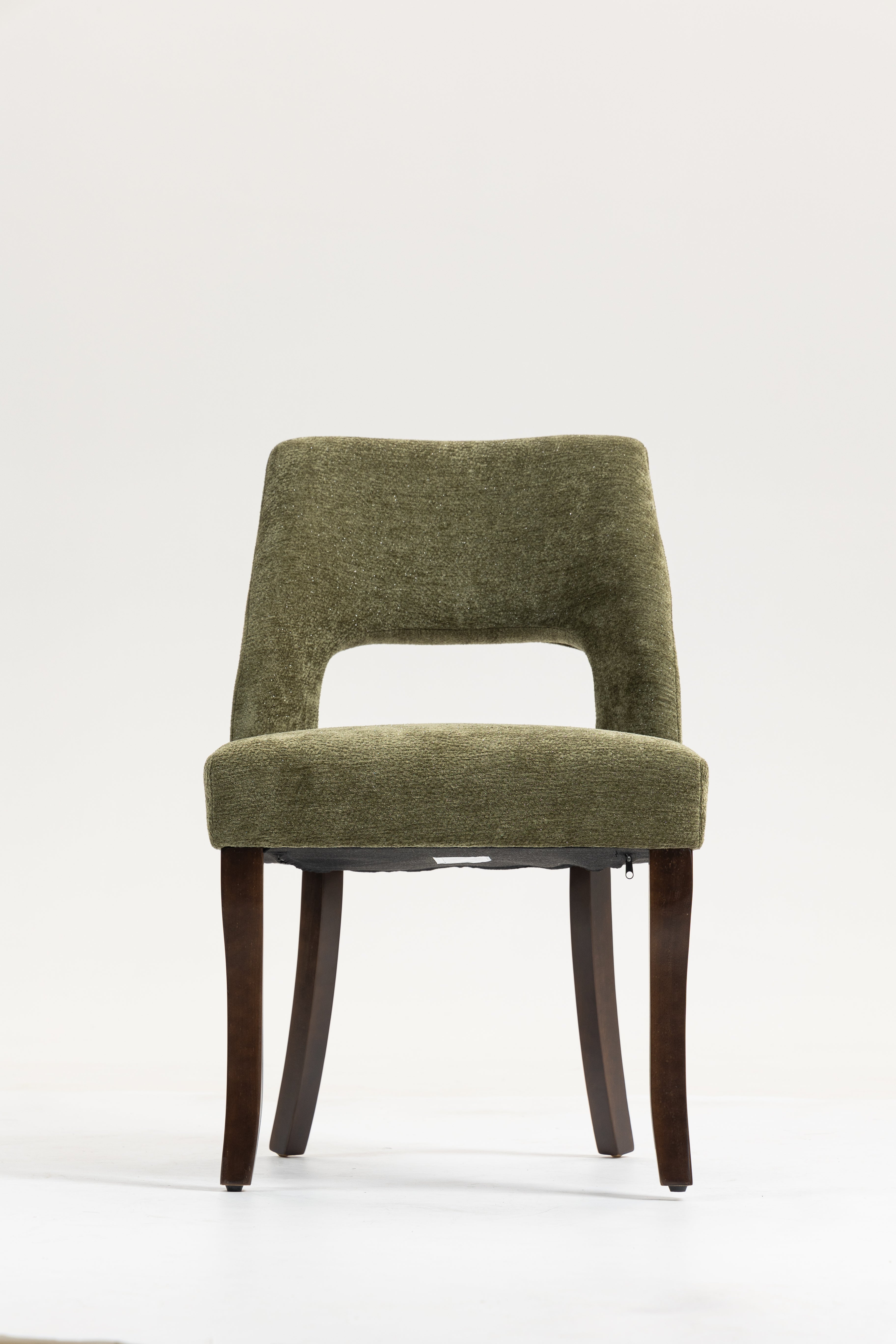 Dining Chair Set of 2