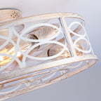 20" Caged Ceiling Fan with Lights and Remote Control
