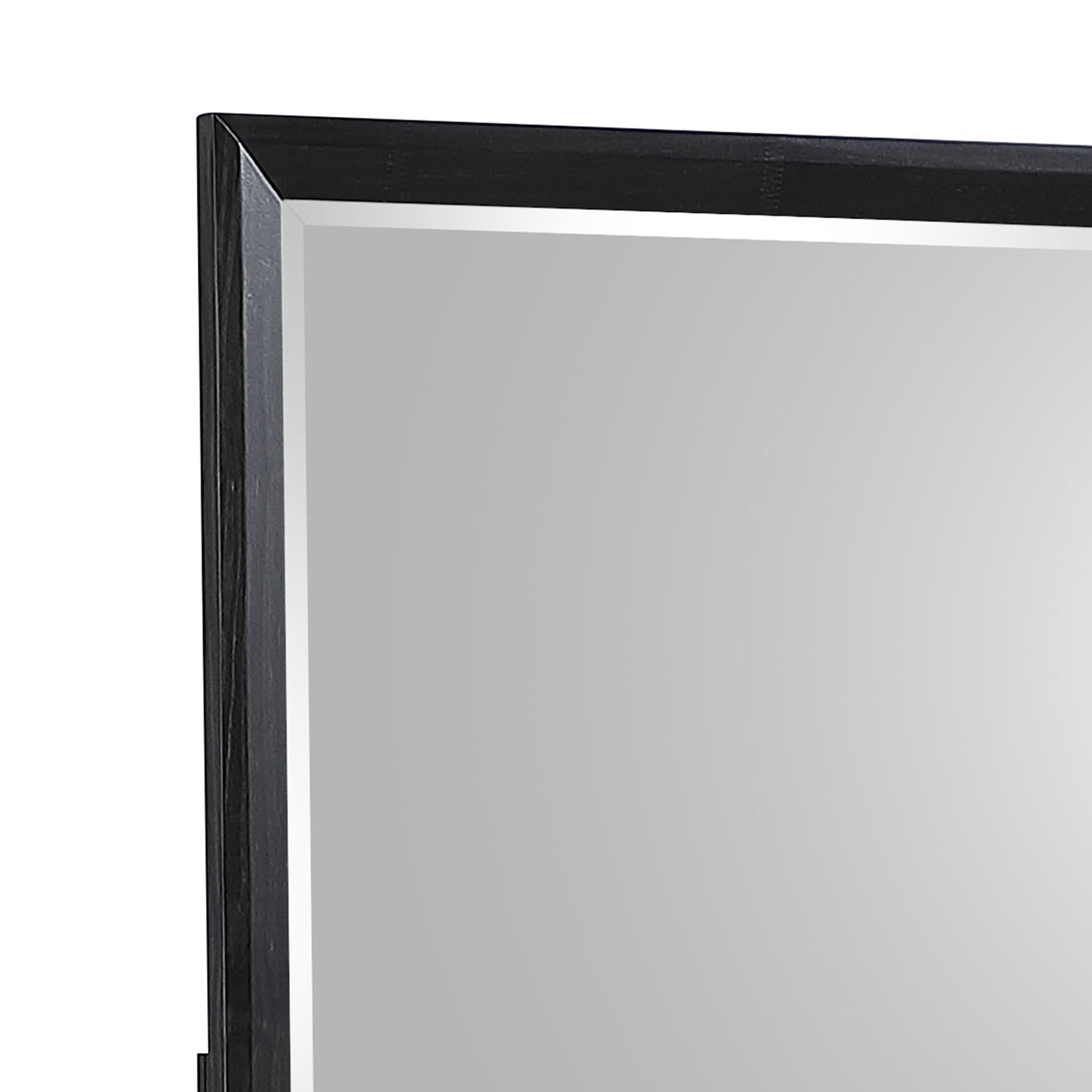 Houston Traditional Style Mirror Made with Wood in Walnut