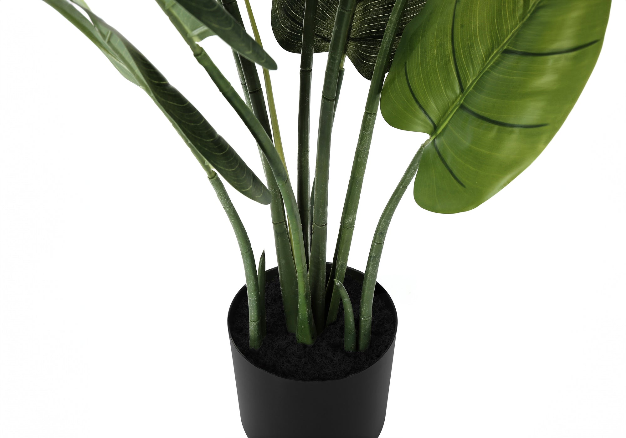 Artificial Plant - 37" Tall Aureum Tree