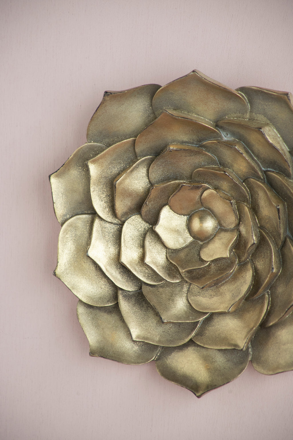 D10x1.4" Succulent Wall Plaque - 2 Piece