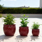 Handmade Ceramic Flower Pot Set of 3