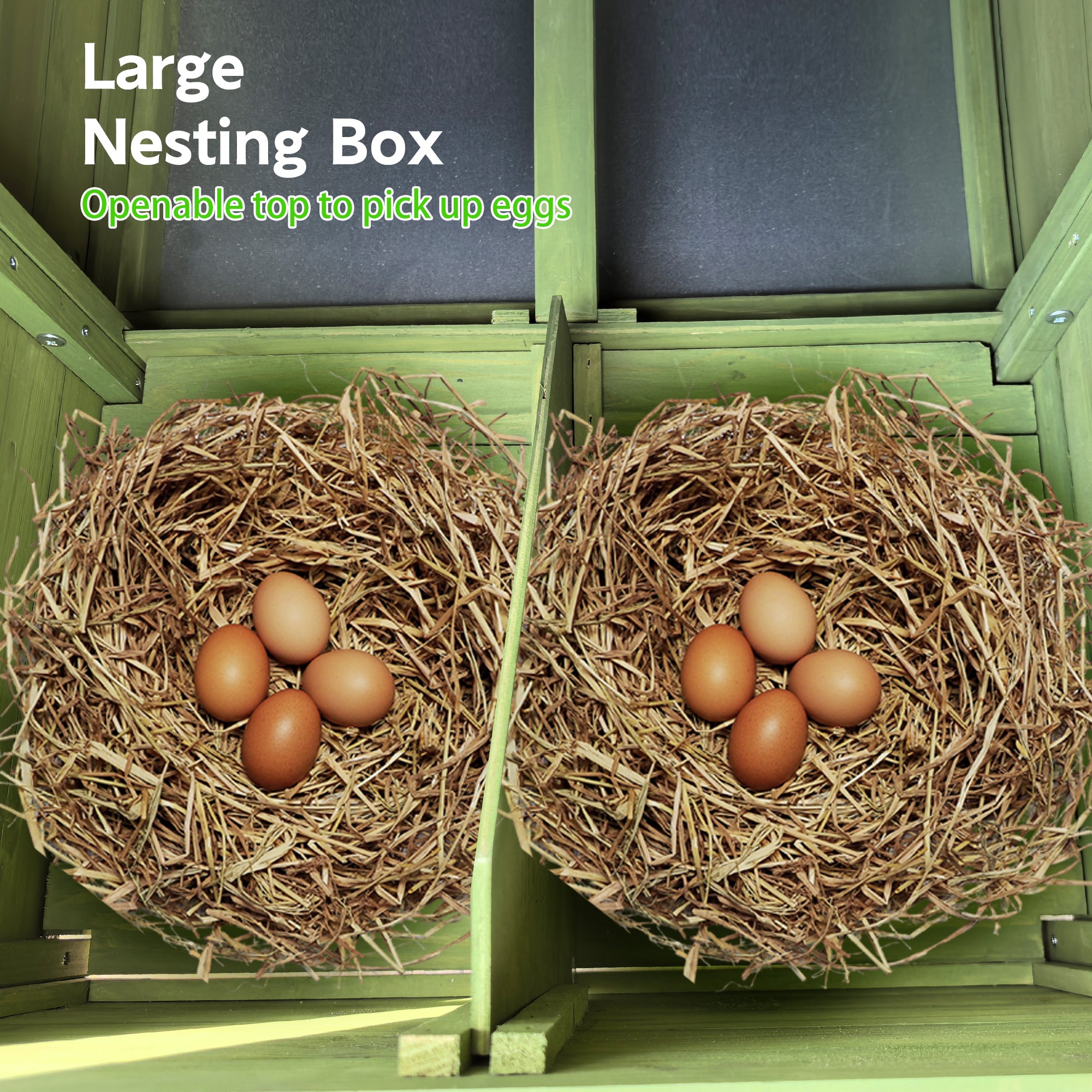 Large Wooden Chicken Coop with Free-Range Doors