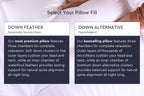 Cloud Fill Down Feather Side Sleeper Pillow