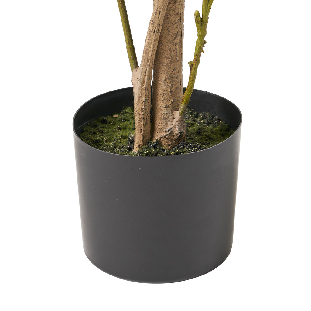 150cm Artificial Laurel Tree