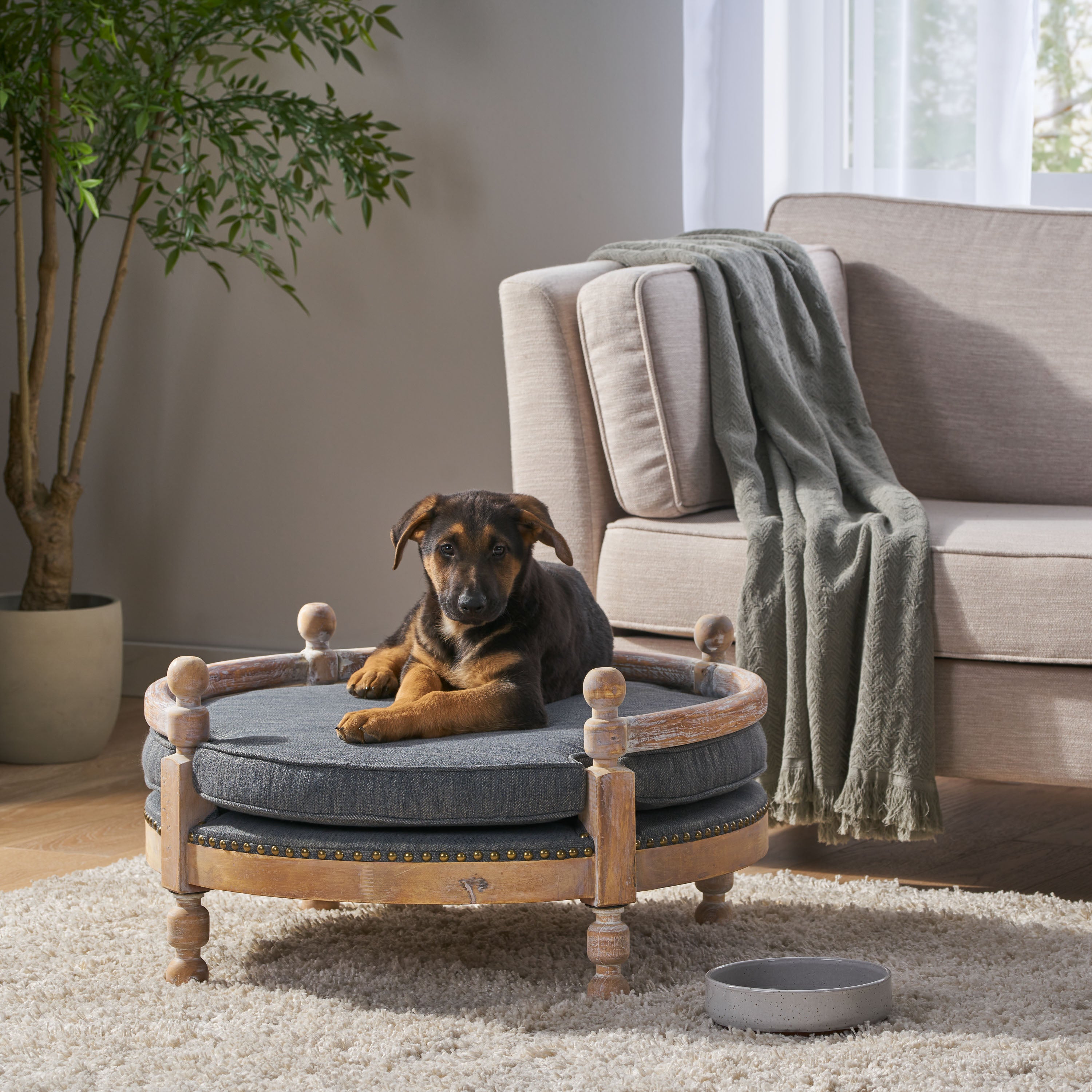 Contemporary Pet Bed