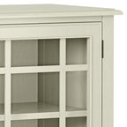 Connaught 46 Inch Wide Solid Wood Low Storage Cabinet in Antique