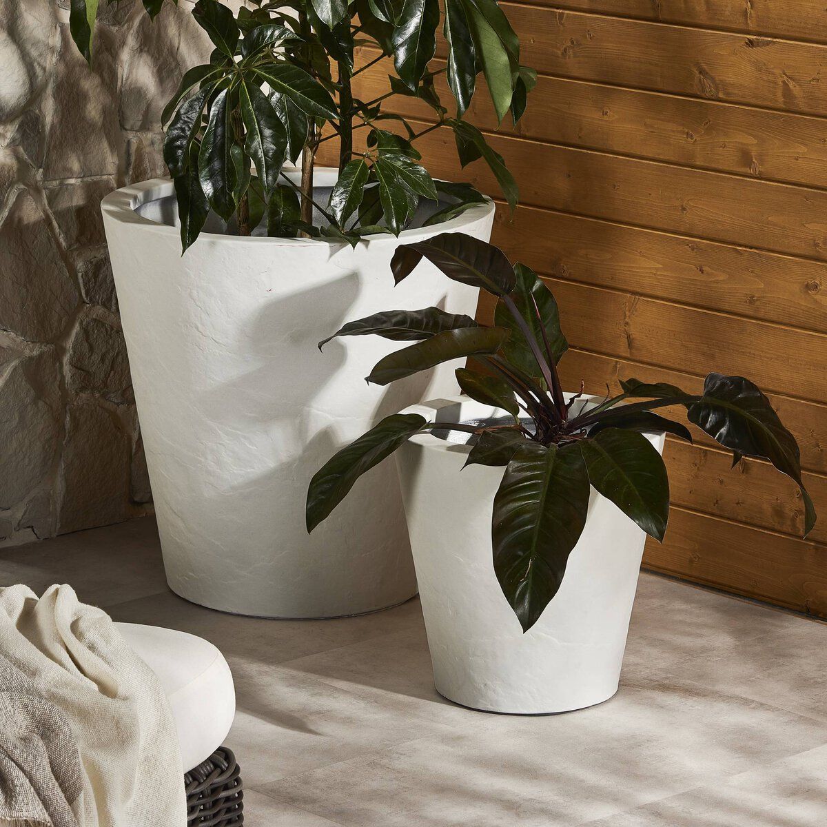 Suvi Planter