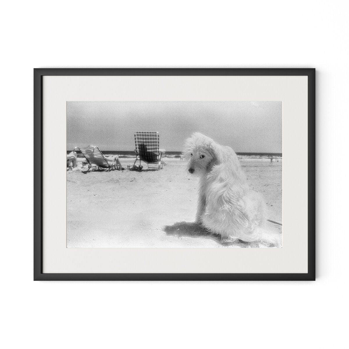 Lois At The Beach By Barbara Alper