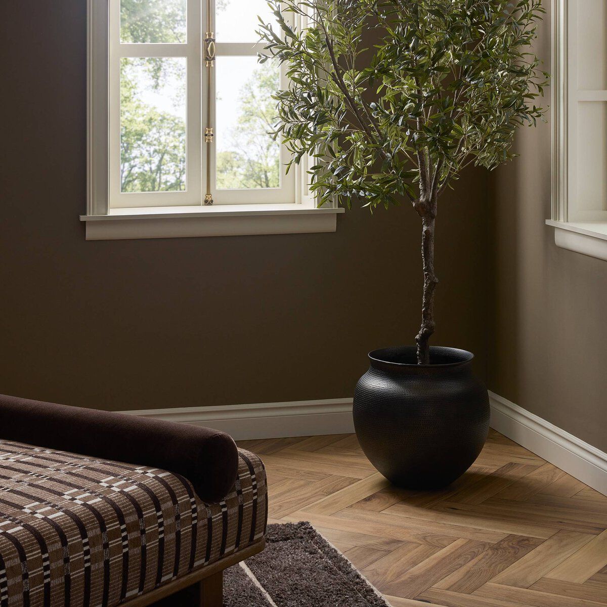 Kavya Planter