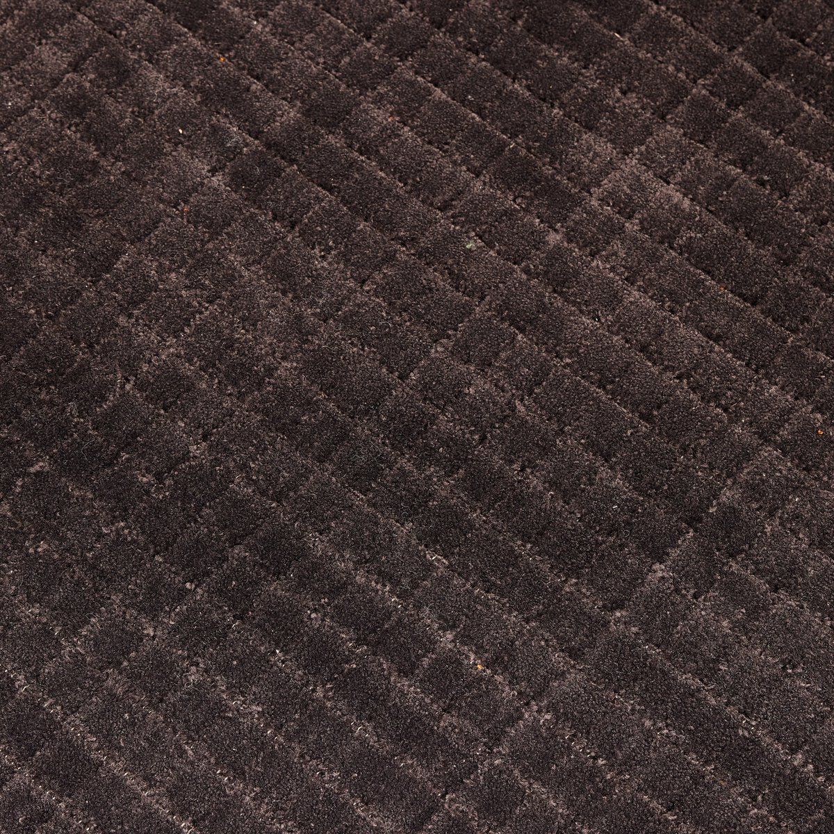 Gunter Outdoor Rug
