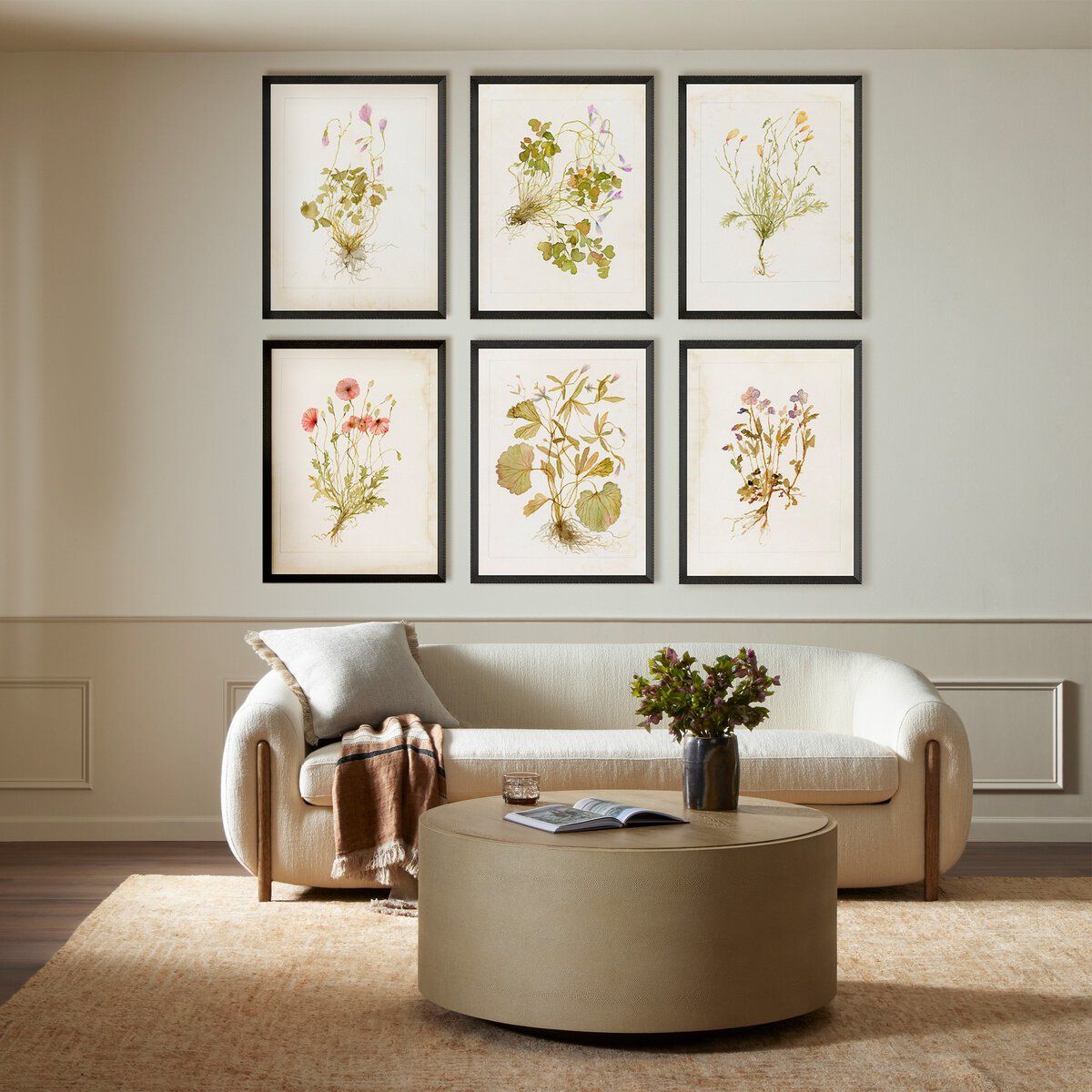 Herbarium Set By Laurel-dawn Latshaw